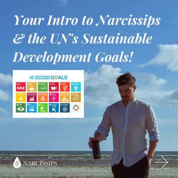 Your intro to the United Nations "Sustainable Development Goals"!
