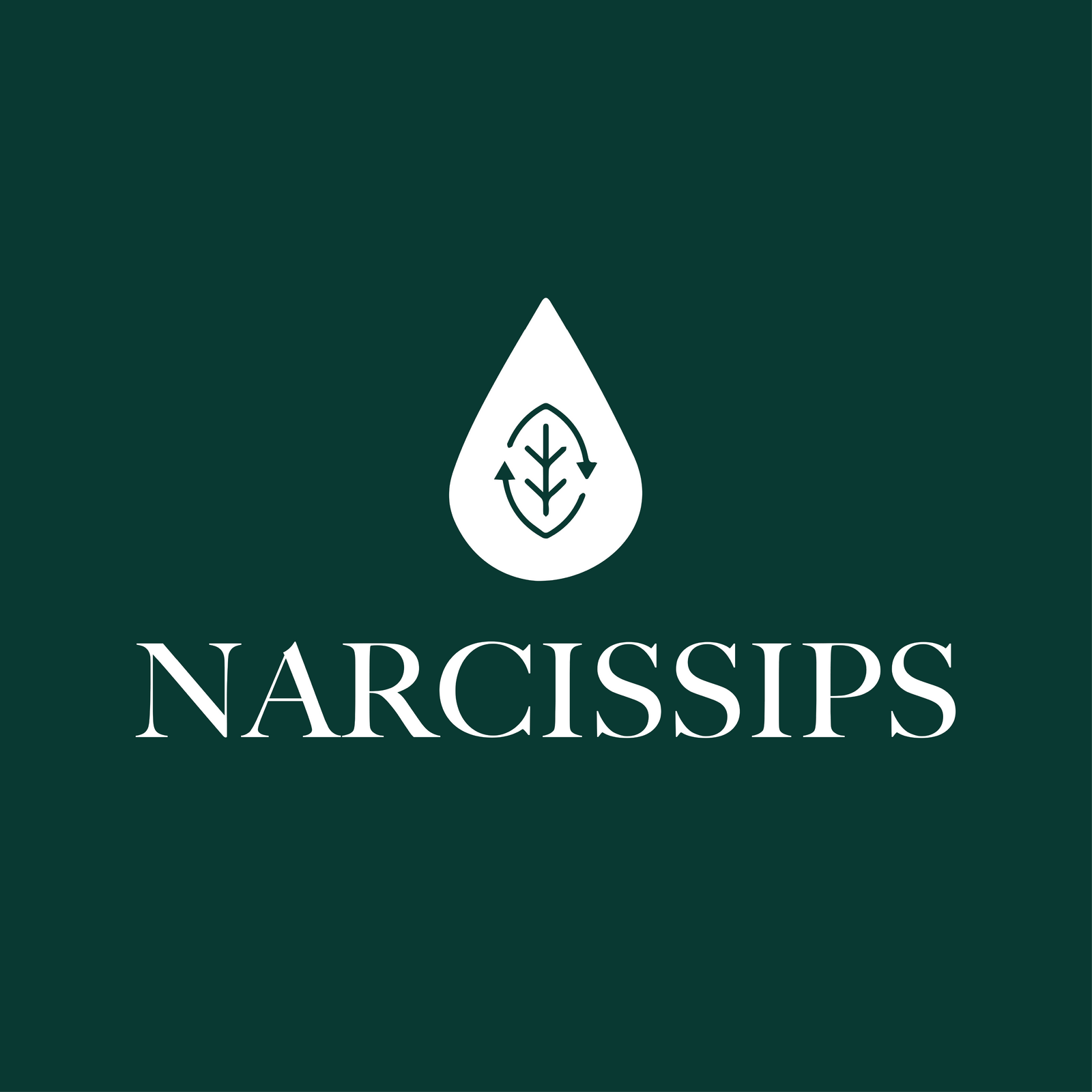 Like our Website & Branding? we can thank Blank Slate!