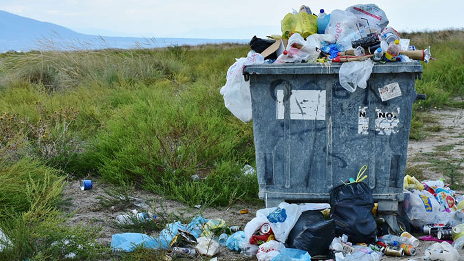 Sustainability 101 - Your summary to understanding how Plastic impacts the environment