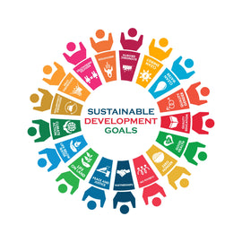 All you need to know about the United Nations Sustainable Development Goals